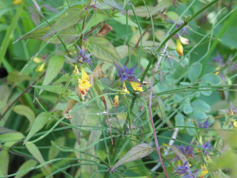 020plitvice.jpg (90554 Byte)