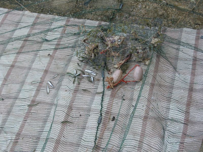 013bibinje-zadar.jpg (169073 Byte)