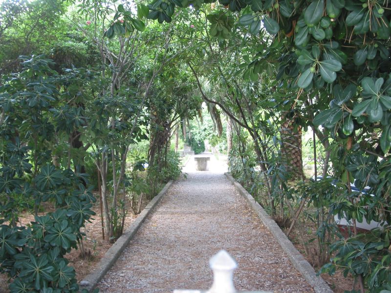 004korcula.jpg (155453 Byte)