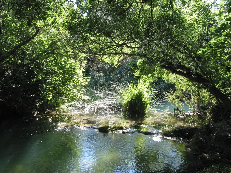 002krka.jpg (190521 Byte)