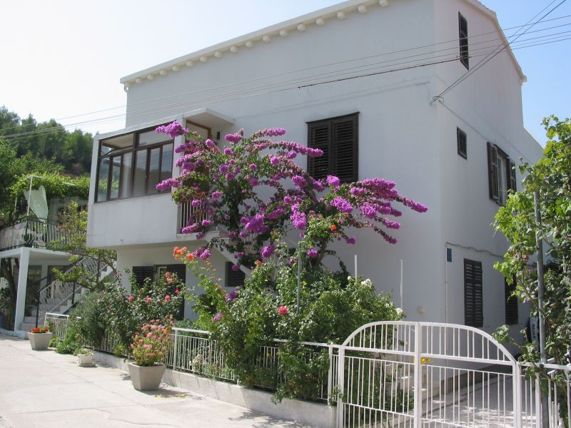 033zuljana.jpg (112182 Byte)