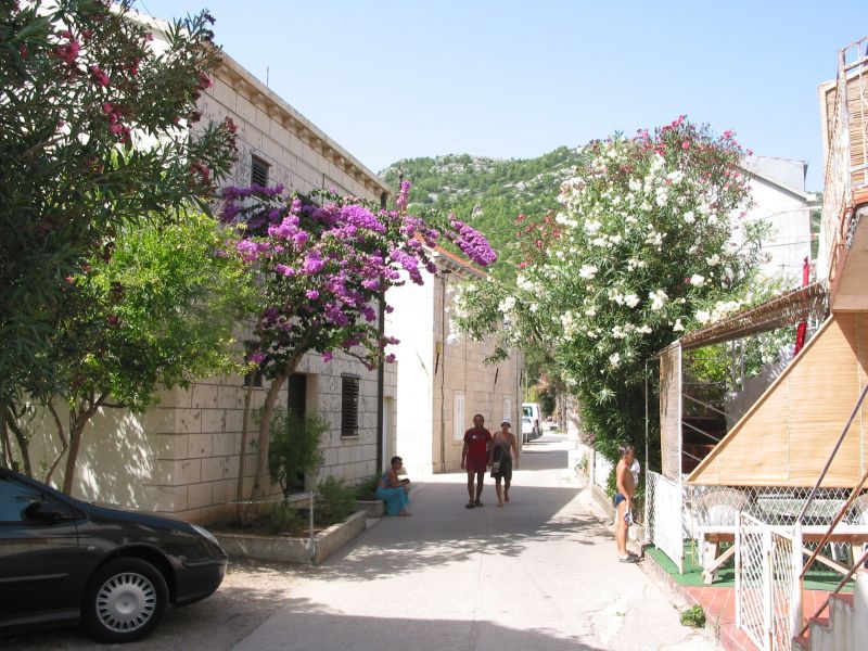 035zuljana.jpg (134869 Byte)