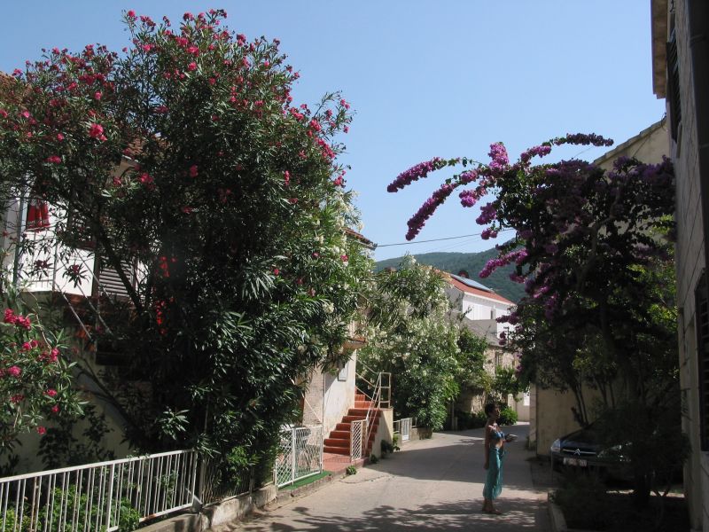 036zuljana.jpg (131173 Byte)