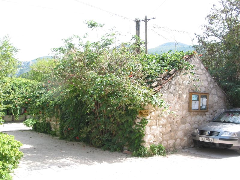 037zuljana.jpg (122695 Byte)