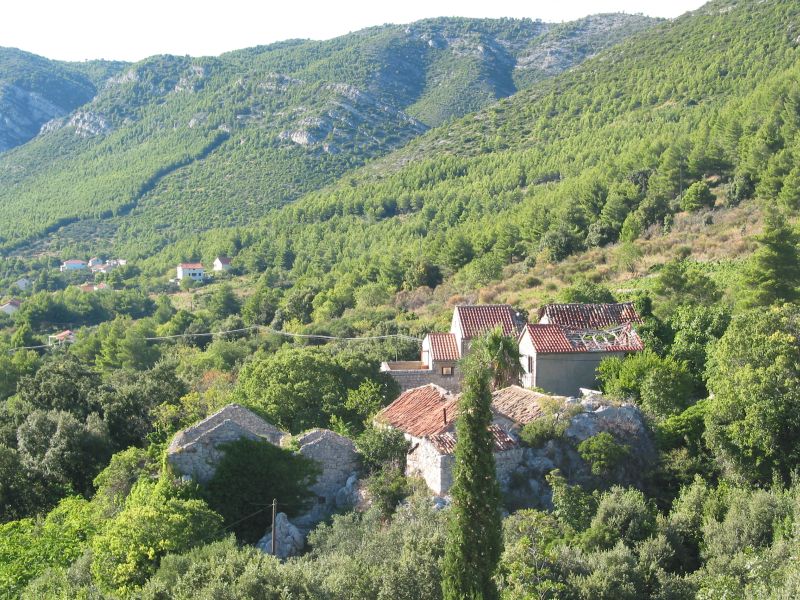 042zuljana.jpg (169478 Byte)