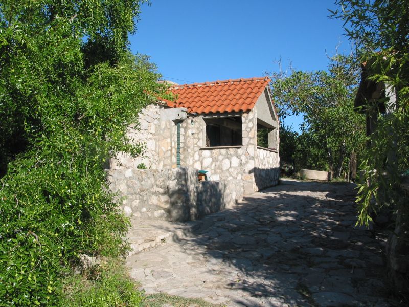 043zuljana.jpg (151660 Byte)