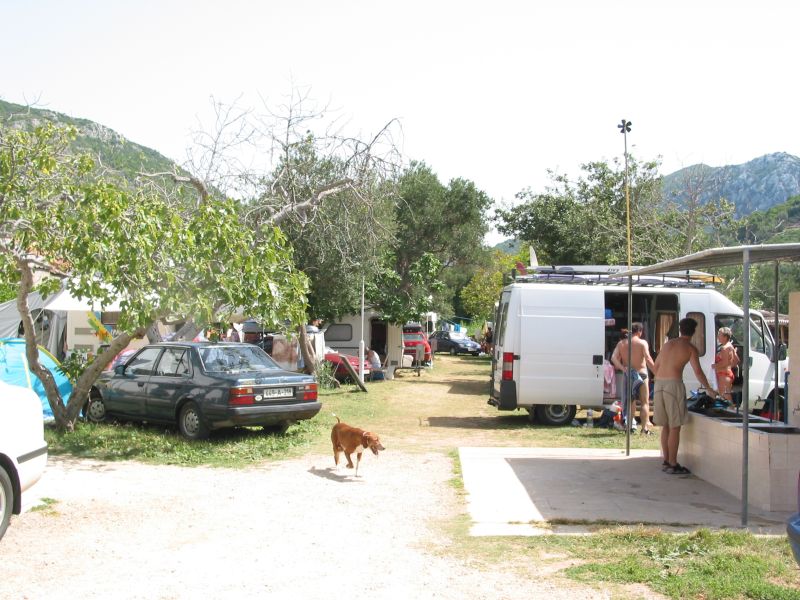 053zuljana.jpg (110108 Byte)