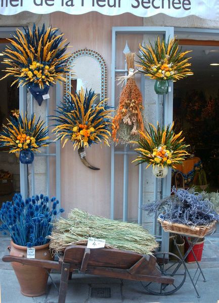 picture-0014.jpg (73584 Byte)