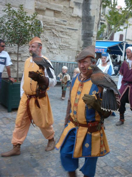 picture-0031.jpg (62102 Byte)