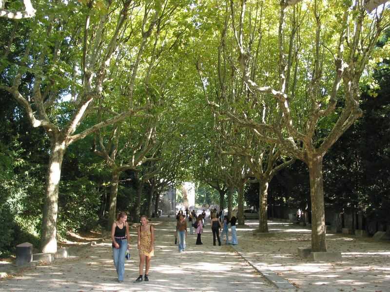 picture-0072.jpg (89594 Byte)