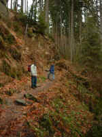 163harz.jpg (45074 Byte)